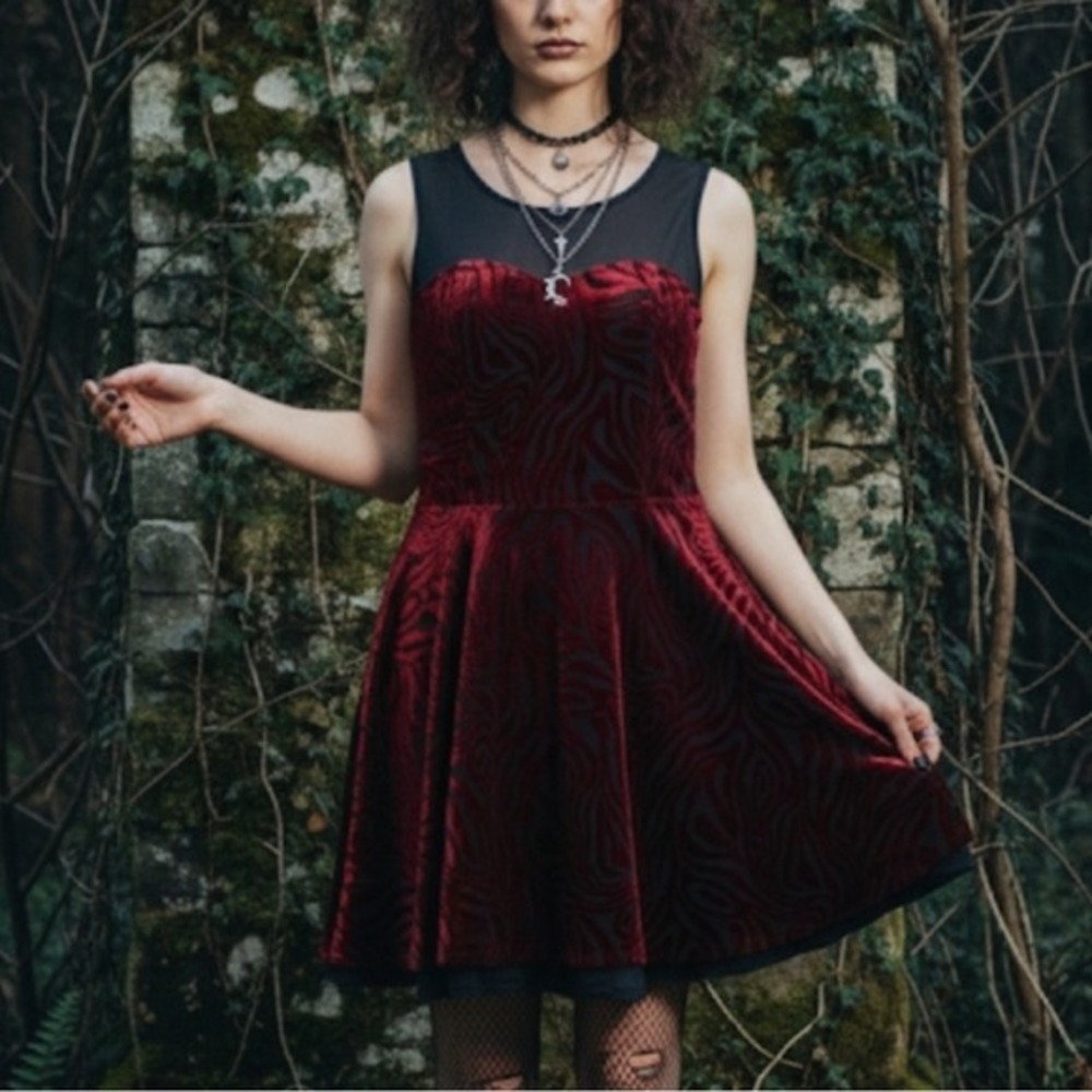 Velvet Burnout Mesh Fit Flare Mini Dress Sz Small Fairy Grunge Whimsigoth